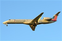 Miguel A. gueda Rguez.  (CANARY ISLANDS SPOTTING). Click to see full size photo