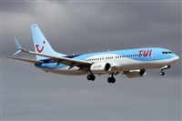 Alfonso Sols - Asociacin Canary Islands Spotting. Haz click para ampliar