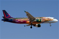 ©Saimon J Rodriguez - Canary Islands Spotting. Click to see full size photo ©Saimon J Rodriguez - Canary Islands Spotting. Click to see full size photo