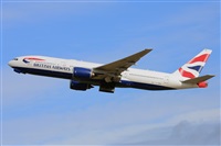 Miguel A. gueda Rguez.  (CANARY ISLANDS SPOTTING). Click to see full size photo