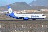 Miguel A. gueda Rguez.  (CANARY ISLANDS SPOTTING). Click to see full size photo