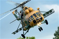 Tams. Click to see full size photo