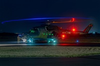 Tams. Click to see full size photo