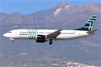 Miguel A. gueda Rguez.  (CANARY ISLANDS SPOTTING). Click to see full size photo