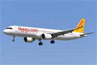 Miguel A. gueda Rguez.  (CANARY ISLANDS SPOTTING). Click to see full size photo