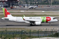 Alfonso Sols - Asociacin Canary Islands Spotting. Haz click para ampliar