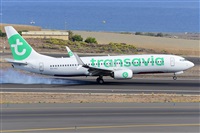 Miguel A. gueda Rguez.  (CANARY ISLANDS SPOTTING). Click to see full size photo