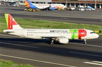Miguel A. gueda Rguez.  (CANARY ISLANDS SPOTTING). Click to see full size photo