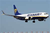 Alfonso Sols - Asociacin Canary Islands Spotting. Click to see full size photo