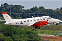 Fabio Duarte - Manaus Spotting Team. Click to see full size photo