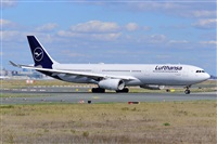Miguel A. gueda Rguez.  (CANARY ISLANDS SPOTTING). Click to see full size photo