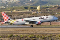 Miguel A. gueda Rguez.  (CANARY ISLANDS SPOTTING). Click to see full size photo