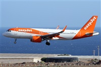 Alfonso Sols - Asociacin Canary Islands Spotting. Click to see full size photo