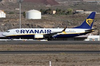 Alfonso Sols - Asociacin Canary Islands Spotting. Click to see full size photo