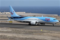 ©Alfonso Solís - Asociación Canary Islands Spotting. Click to see full size photo ©Alfonso Solís - Asociación Canary Islands Spotting. Click to see full size photo