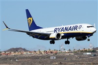 Alfonso Sols - Asociacin Canary Islands Spotting. Haz click para ampliar