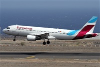 Alfonso Sols - Asociacin Canary Islands Spotting. Click to see full size photo