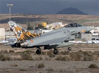 Adolfo Bento - Gran Canaria Spotters. Click to see full size photo