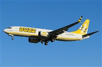 Manuel Zarallo G.. Click to see full size photo