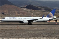 ©Alfonso Solís - Asociación Canary Islands Spotting. Click to see full size photo ©Alfonso Solís - Asociación Canary Islands Spotting. Click to see full size photo