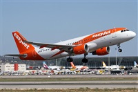 �Alfonso Sol�s - Asociaci�n Canary Islands Spotting. Click to see full size photo