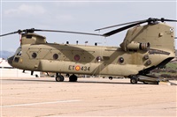 �Sergio Cambronero - Asociaci�n AIRE. Click to see full size photo