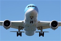 �Adri�n Alonso Lemes - Lanzarote Spotters. Click to see full size photo