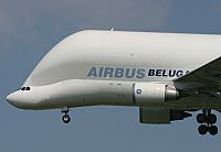 Alex Bertrn-Iberian Spotters. Click to see full size photo