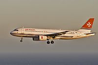 Javier de la Cruz - CANARY ISLANDS SPOTTING. Click to see full size photo
