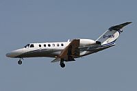 Jos Miguel Bernases - Noisy Spotters. Click to see full size photo