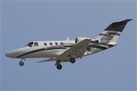 Jos Miguel Bernases - Noisy Spotters. Click to see full size photo