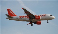 Rubn Gil - Noisy Spotters. Click to see full size photo