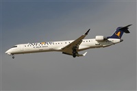 Cele - Spotters BCN. Click to see full size photo