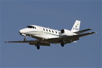 Jos Miguel Bernases - Noisy Spotters. Click to see full size photo