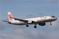 Alfonso Sols - Asociacin Canary Islands Spotting. Click to see full size photo