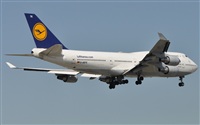 Rubn Gil - Noisy Spotters. Click to see full size photo