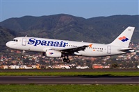 Javier de la Cruz - CANARY ISLANDS SPOTTING. Click to see full size photo