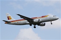 ©Alfonso Solís - Asociación Canary Islands Spotting. Click to see full size photo ©Alfonso Solís - Asociación Canary Islands Spotting. Click to see full size photo