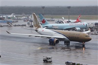 Chalo Canary Islands Spotting. Click to see full size photo