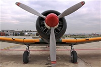 Alfonso Rdenas. Click to see full size photo