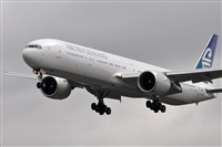 Rubn Gil - Noisy Spotters. Click to see full size photo