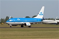 Javier de la Cruz - CANARY ISLANDS SPOTTING. Click to see full size photo