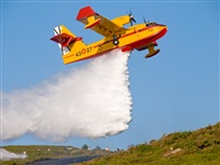 Click here to see full size photo