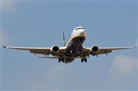 ©Ismael -Costa del Sol Spotters- (Fuengirola). Click to see full size photo ©Ismael -Costa del Sol Spotters- (Fuengirola). Click to see full size photo