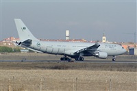 H.volar. Click to see full size photo