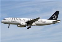 Jos Miguel Bernases - Noisy Spotters. Click to see full size photo