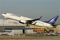 Rui Alves - Madeira Spotters. Click to see full size photo