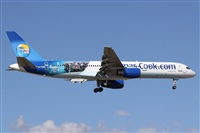 ©Alfonso Solís - Asociación Canary Islands Spotting. Click to see full size photo ©Alfonso Solís - Asociación Canary Islands Spotting. Click to see full size photo