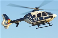 H.volar. Click to see full size photo