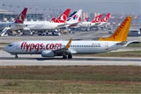 Cele - Spotters BCN. Click to see full size photo
